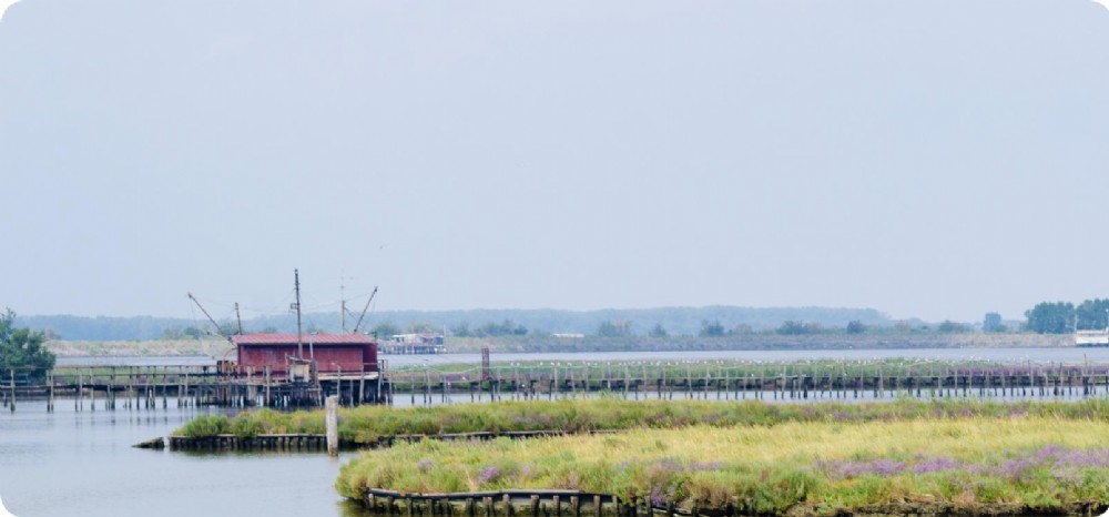 Territorio del Delta