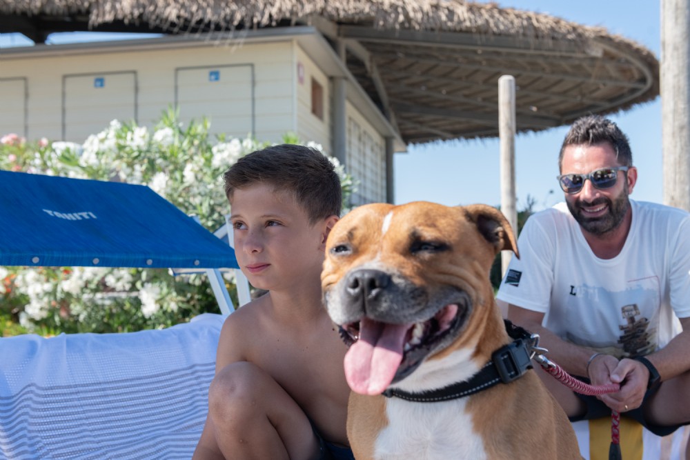 Spiaggia attrezzata per cani