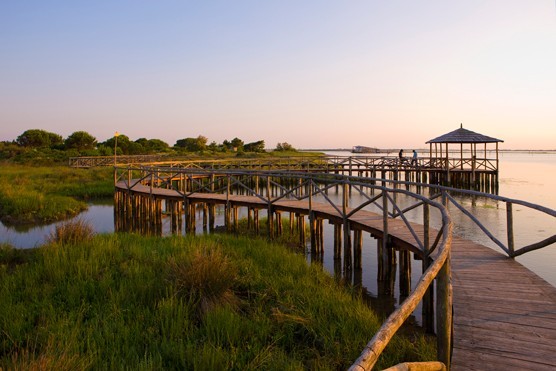 Giardino botanico litoraneo di Porto Caleri