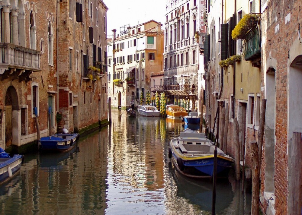 Crociere a Venezia e isole veneziane - Venice Water Link