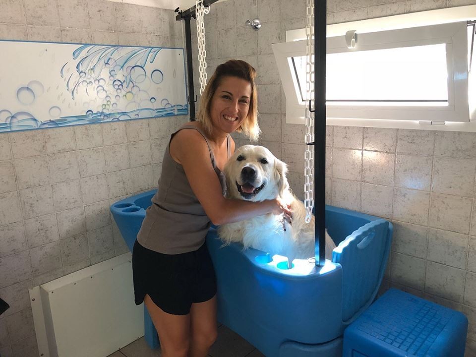 Pet Wash
