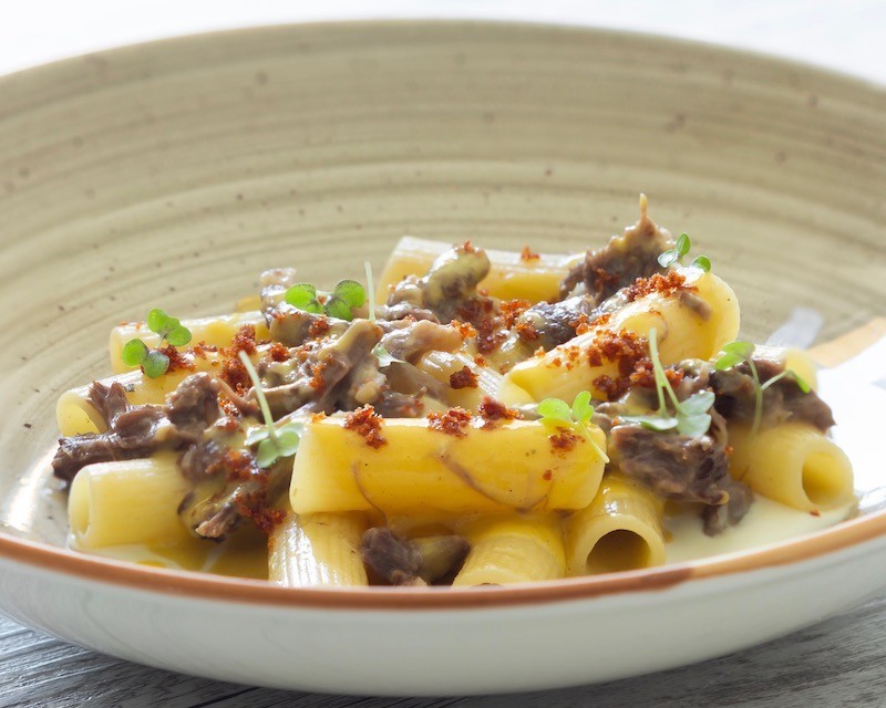 Tortiglioni con coda di bue fonduta e prosciutto