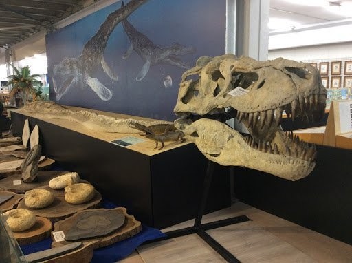 Museo malacologico piceno