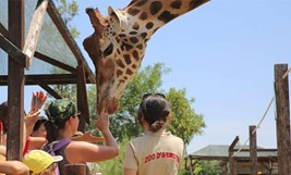 ZOO D’’ABRUZZO 