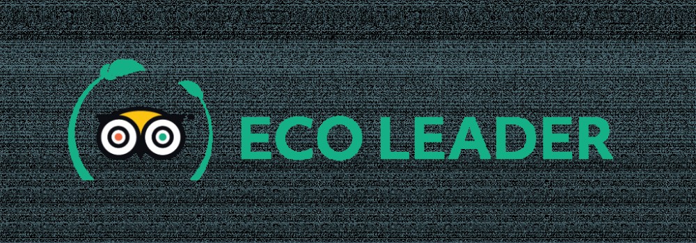 ECO LEADER PLATINO